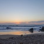 Look at the colors!!